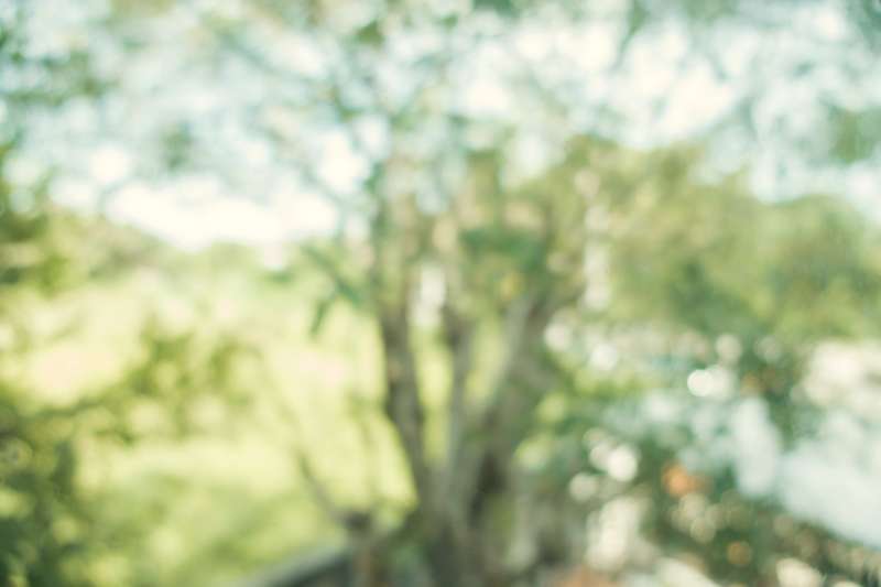 blurred-background-abstract-nature-green-blurred-background-with-bokeh-spring-season-vintage-filtered-image-min